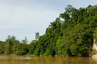 11 Riverbank with dense jungle