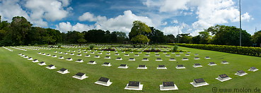 09 Rows of graves