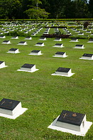 11 Graves in the cemetery