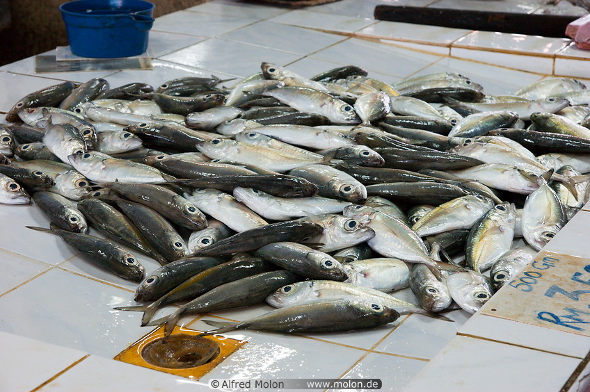 20 Fish market