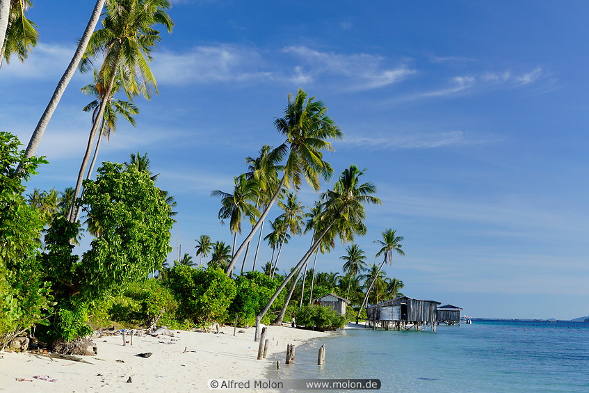 16 Beach with coconut palm trees