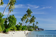 16 Beach with coconut palm trees