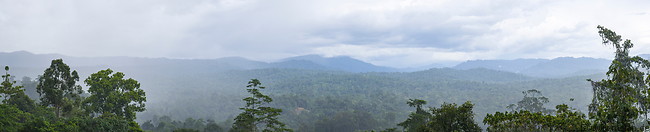 01 Panoramic view of the Maliau basin