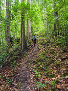 24 Trail to Ginseng camp