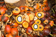30 Oil palm fruit cluster