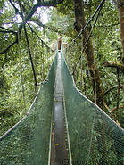 05 Canopy walkway