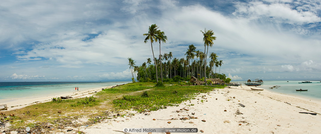 05 Island village and coconut trees