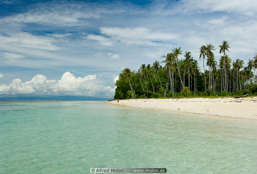 03 Beach and coconut trees