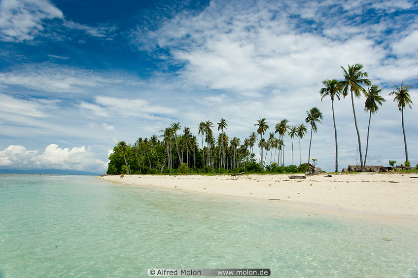 05 Beach and coconut trees