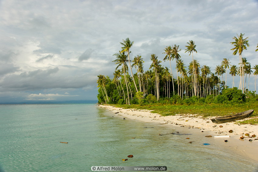 25 Beach and coconut trees