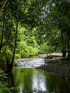 26 Forest stream