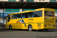 12 Yellow bus