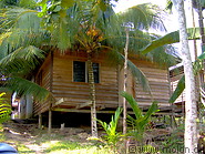 28 Kajang longhouse and coconut palm