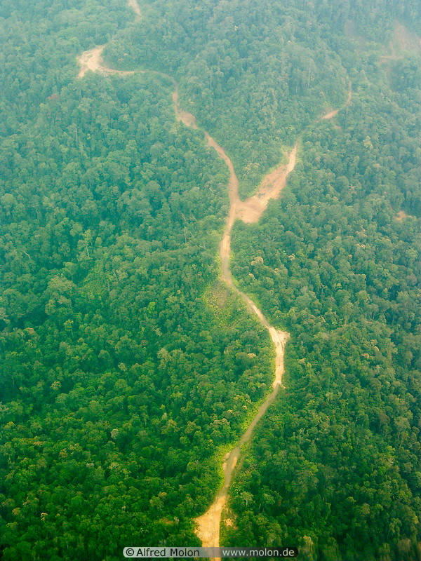 01 Sarawak mountains and logging road