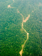 01 Sarawak mountains and logging road