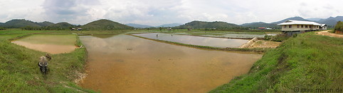 13 Panorama view with rice fields