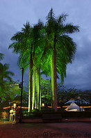 03 Palm trees on waterfront at night