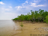 06 Mangroves along Batang Lupar river