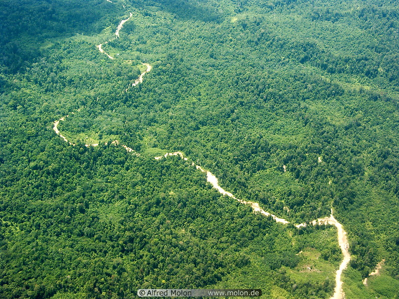 03 Tropical rainforest and logging roads