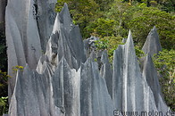 06 Limestone pinnacles