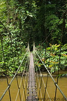 11 Hanging bridge