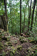 02 Steep forest path