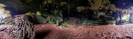 29 Niah cave