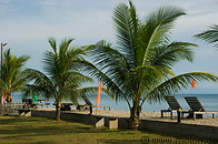07 Palm trees and beach