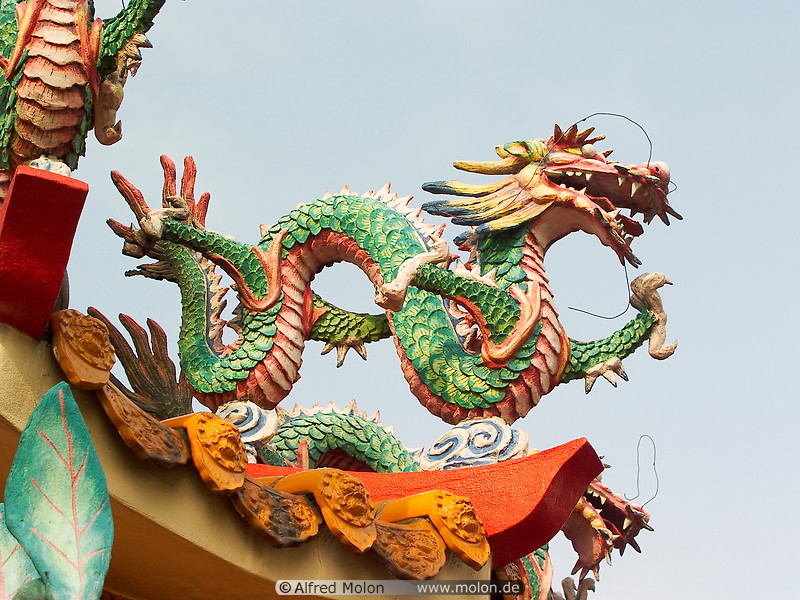 20 Chinese dragon