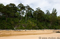 07 Rainforest on beach