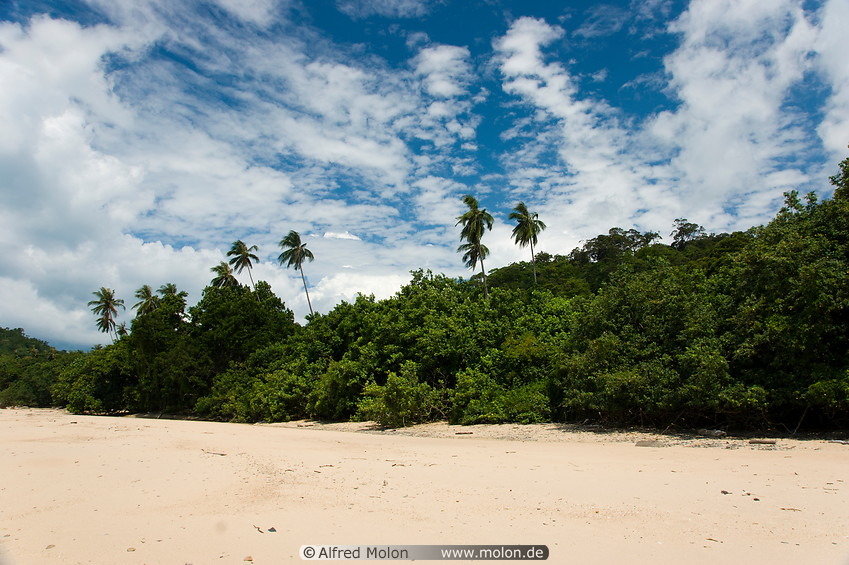 16 Main beach and rainforest