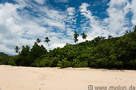 16 Main beach and rainforest