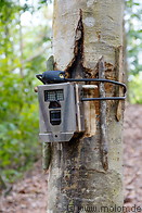 08 Automatic wildlife camera