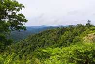 03 Titiwangsa mountains vegetation