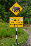 09 Elephant street sign
