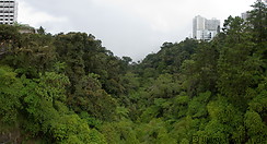 17 Tropical rainforest near resort