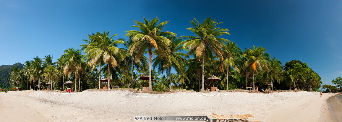 12 Coconut palms lined beach