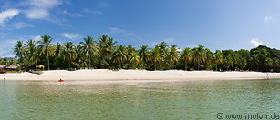 05 Coconut palms lined beach