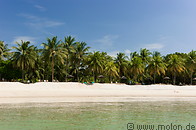 06 Coconut palms lined beach