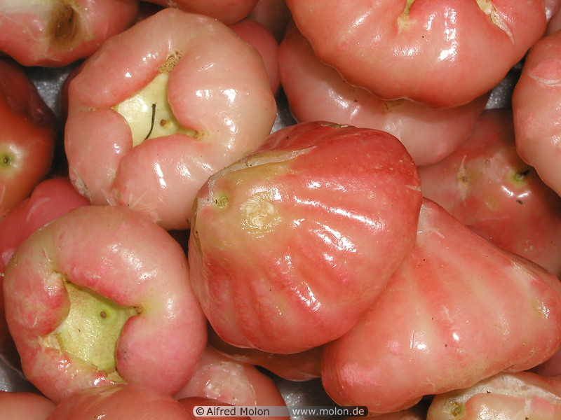 16 Jambu Air fruits