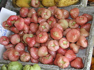 15 Jambu Air fruits