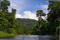 Ulu Muda Forest Reserve photo gallery  - 70 pictures of Ulu Muda Forest Reserve