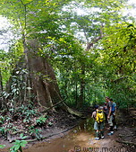 14 Group of tourists near dipterocarp tree