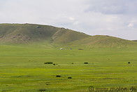 10 Pasture lands