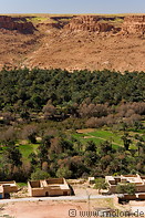 02 Canyon oasis and date palms