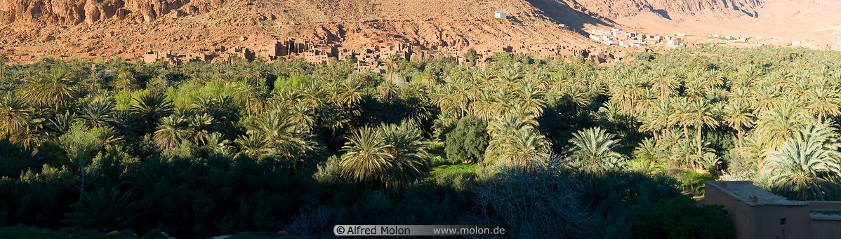 05 Date palms plantation and village with red walls houses