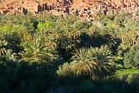 04 Date palms plantation and village with red walls houses