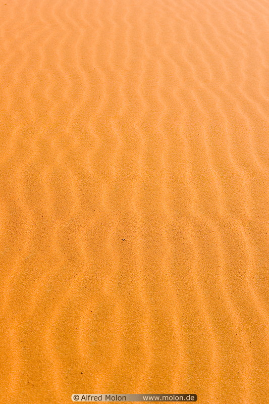 07 Ripple patterns in sand