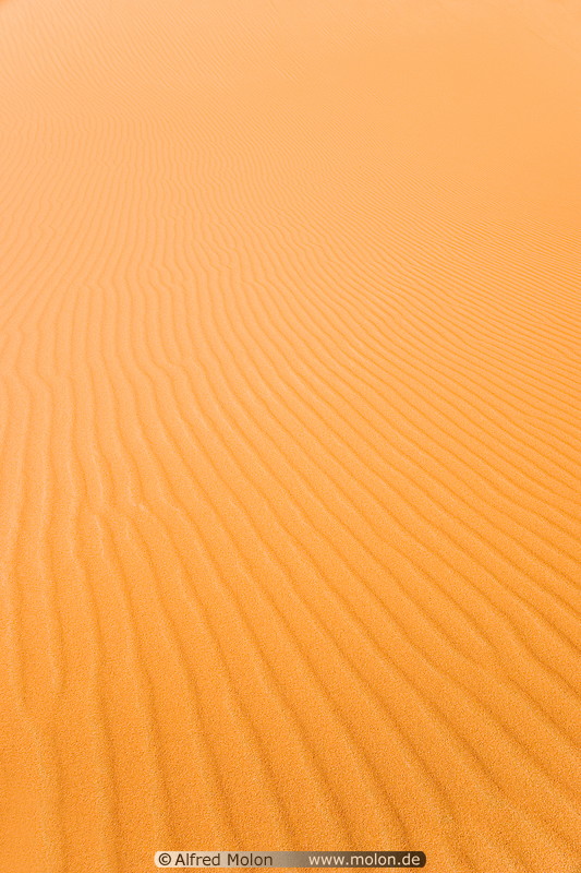 11 Ripple patterns in sand dune