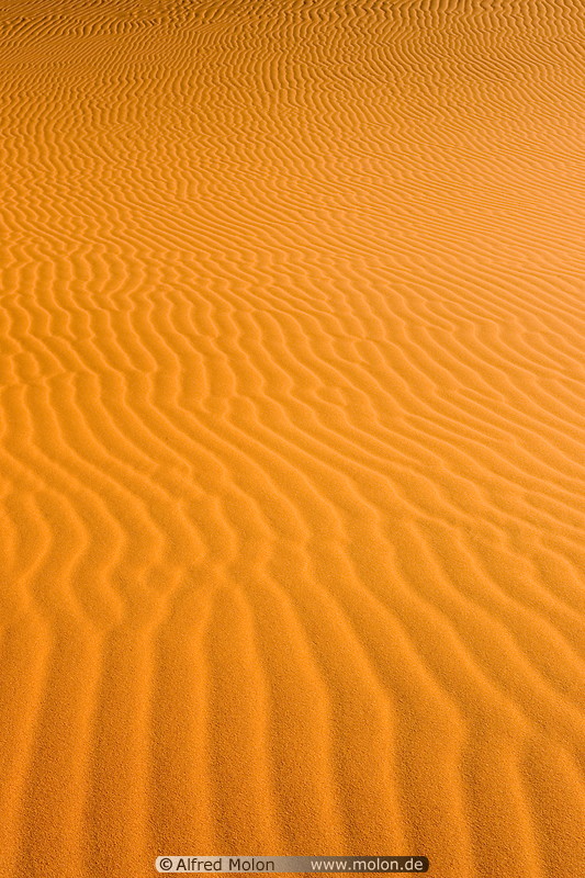 26 Ripple patterns in sand
